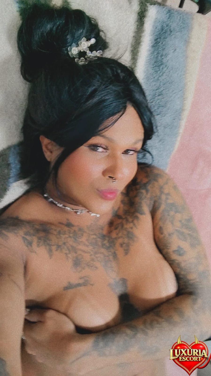 Bonequinha top trans